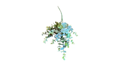 Eucalyptus Gunni Stem