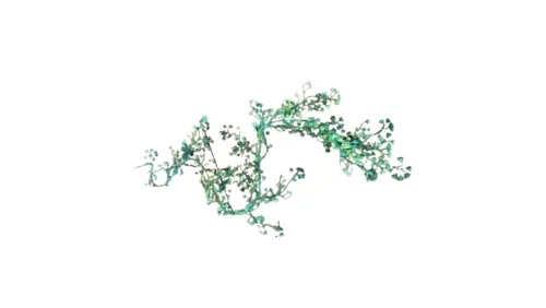 Trailing Fern Garland