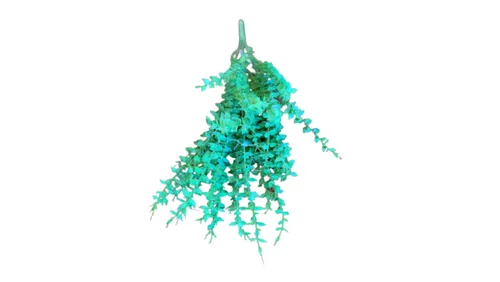 Vibrant Green Baby Eucalyptus Stem