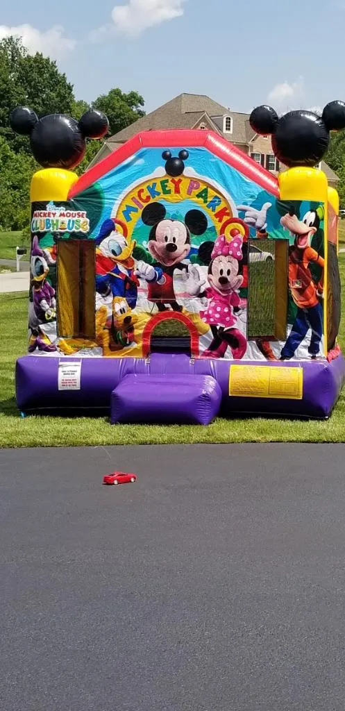 15 x 15 Mickey & Friends