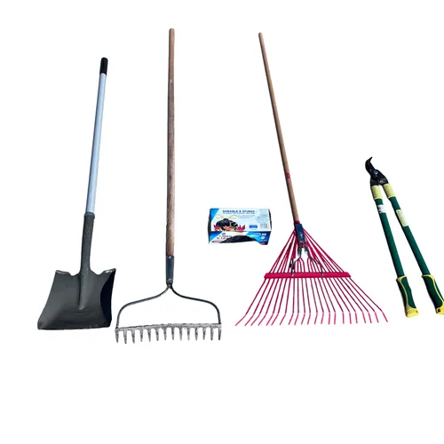 Yard Cleaning Up Day