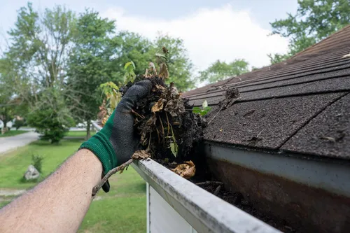 Gutter Clean Out Day