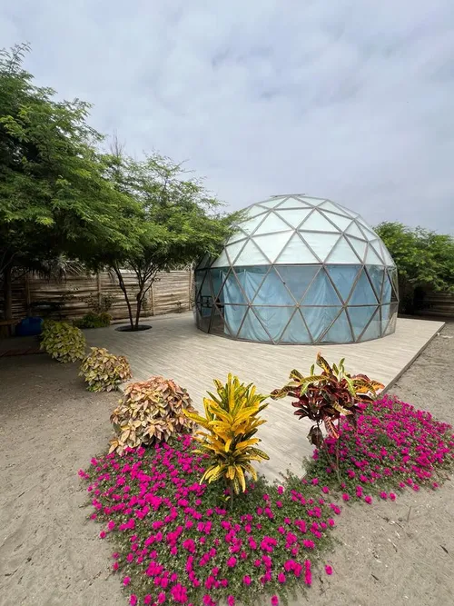 Full day con habitacion