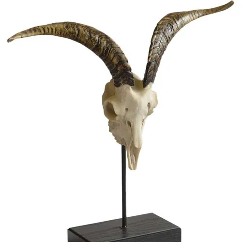 Kudu Horns on Stand