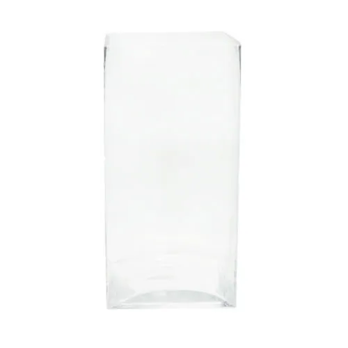 Clear Glass Square Vase - 30x15x15cm