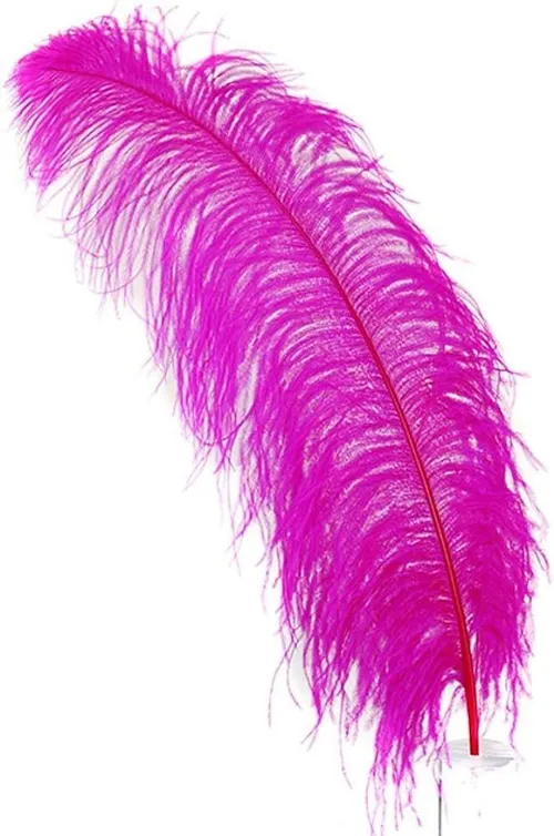 Pink Ostrich Feathers