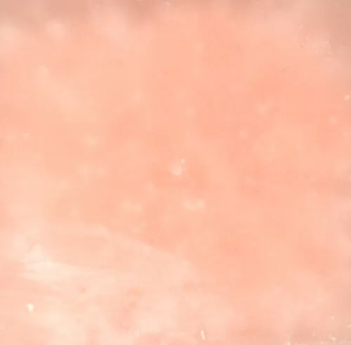 Frosted Peach Dinner Candles