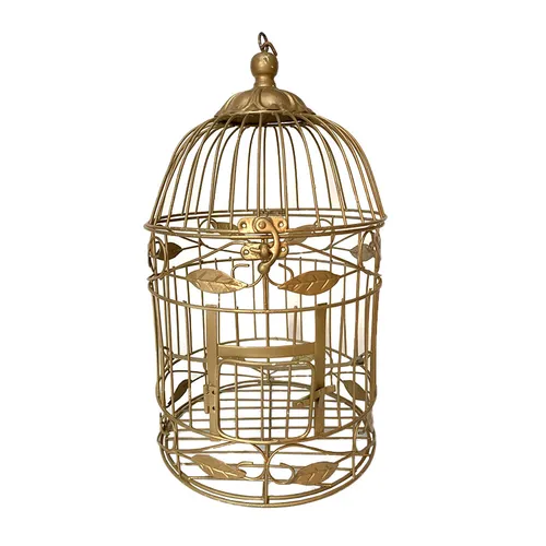 Gold Tweety Leafy Bird Cage