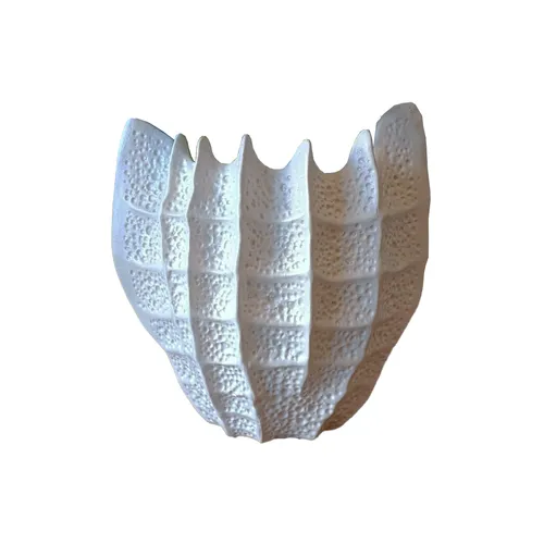 White Shell Vase