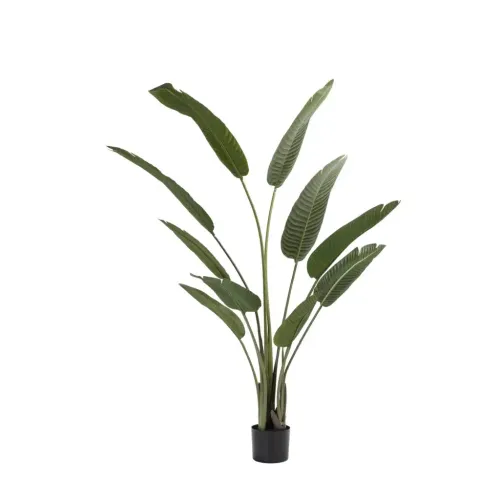 Fiddle Fig Silk Plant In Pot