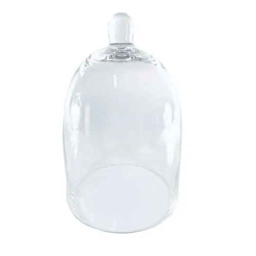 Clear Glass Cloche - Small