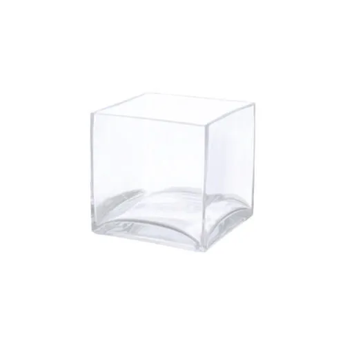 Clear Glass Square Vase - 10x10x10cm