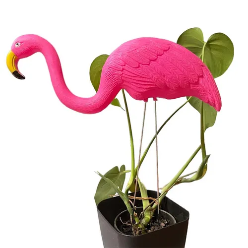 Ornamental Flamingo
