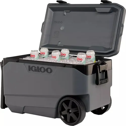Large Rolling Cooler (4-8 people)