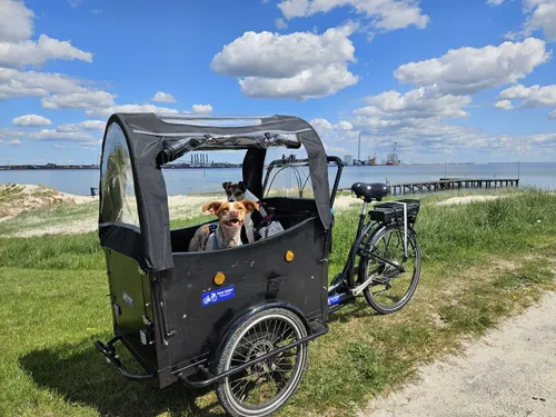 EL-Ladcykel hund, barn, 2 sæde, inkl. dør