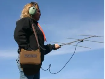 Radio-tracking Bundle - 10% off