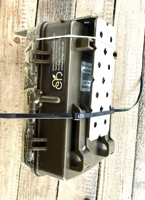 Tree Mounts for camera trapping