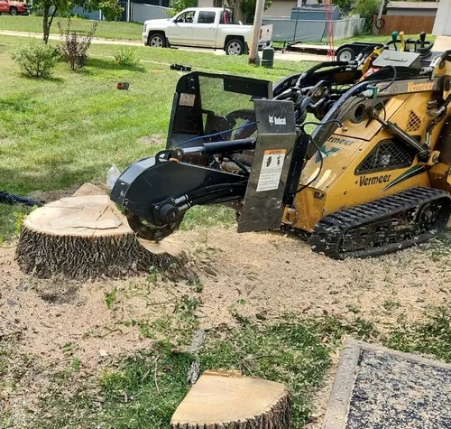 Stump Grinder - Mini Skid