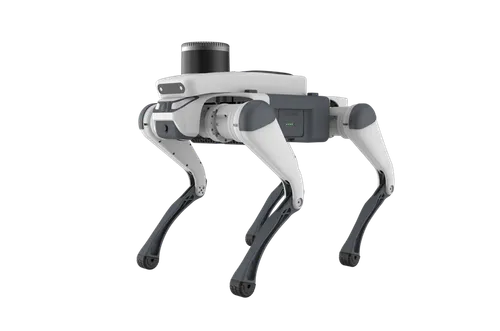 Robot Dog Rental