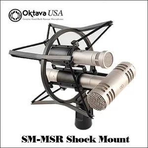 Dual mic shock mount