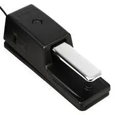 Roland Sustian Pedal