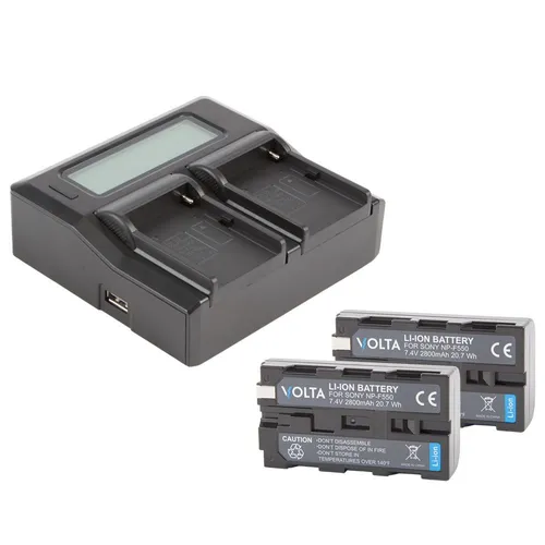 Dual digital battery charger