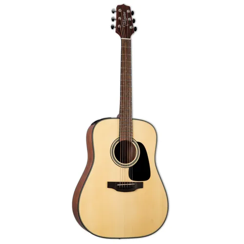 Takamine Acoustic Guitar