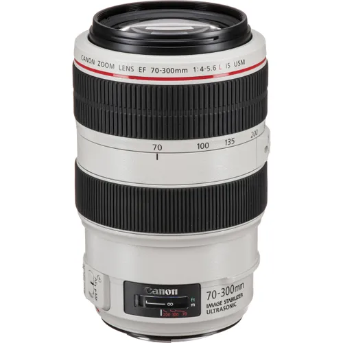 Canon 75-300 Lens