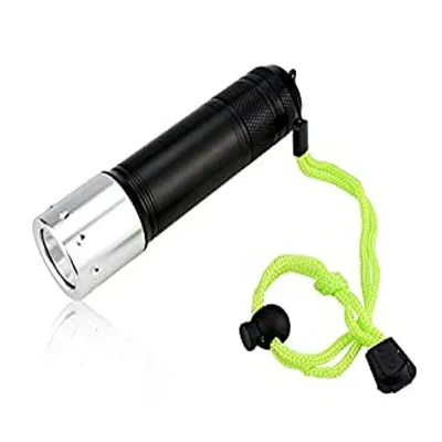 Dive Torch