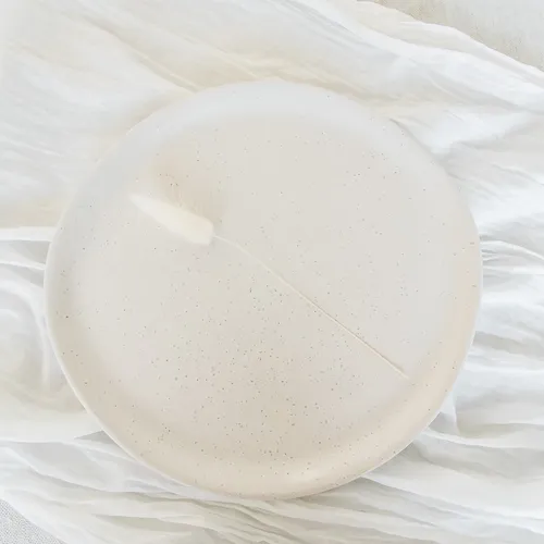 Irregular Dinner Plate