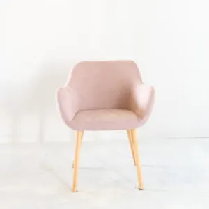Blush Velvet Armchair