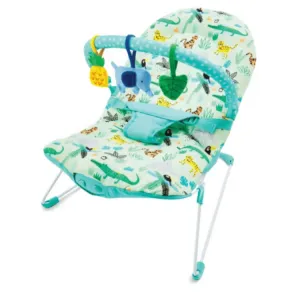 Baby Bouncer Seat