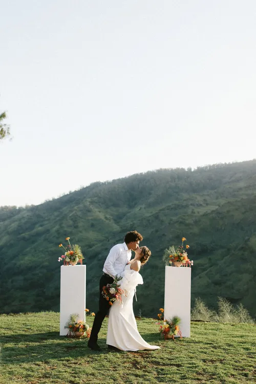 White Stained Pillars