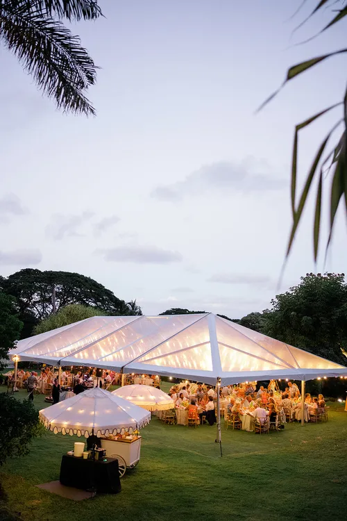 40x100 Clear Top Tent