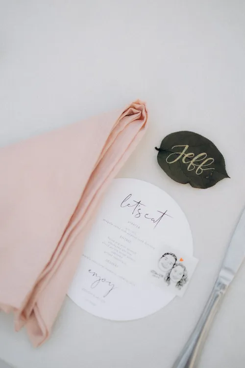 Blush Polyester Napkin (20