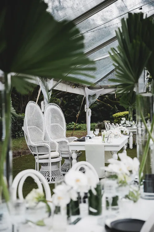White Waikiki Peacock Chair