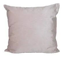 Baby Pink Velvet Pillow