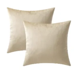Tan Velvet Pillow