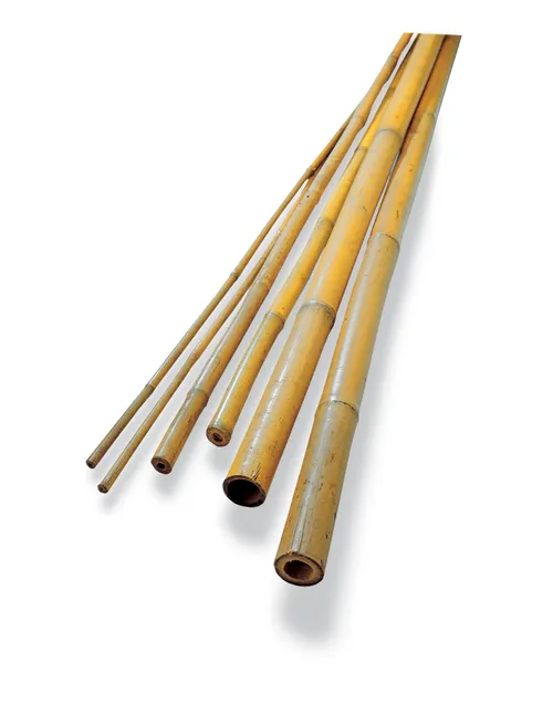 Bamboo Pole