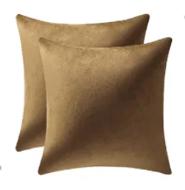 Sand Velvet Pillow