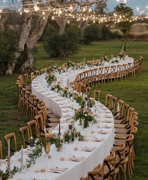 Serpentine Table