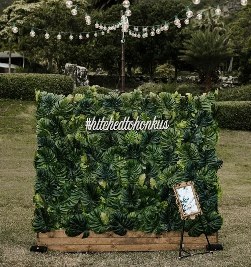 Monstera Backdrop