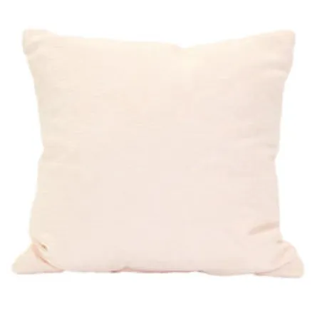 Blush Velvet Pillow