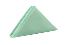 Mint Polyester Napkin (20