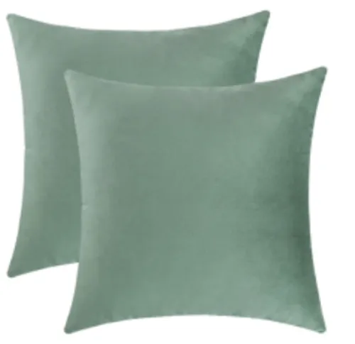 Sage Velvet Pillow