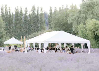 40x60 White Track Tent