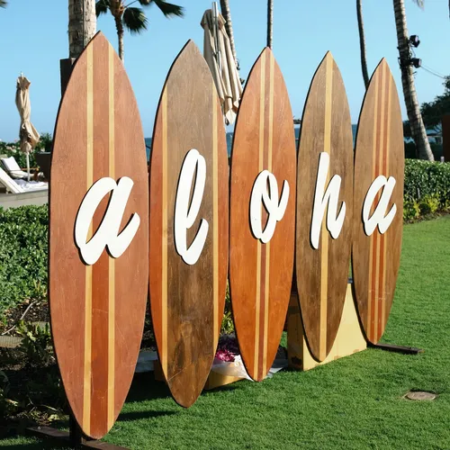 Surfboard Backdrop