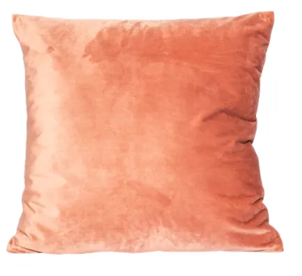 Pink Velvet Pillow