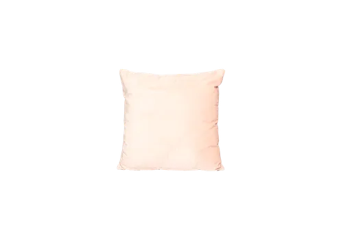 Rose Velvet Pillow