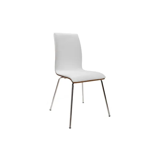 LES Conference Chair - White